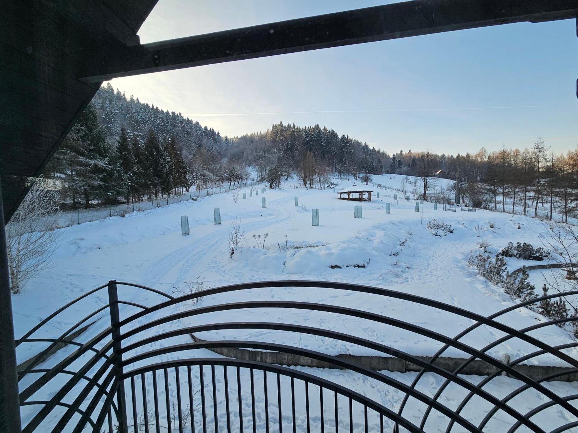 Otulina Park Bed & Breakfast Szczawnica Ngoại thất bức ảnh
