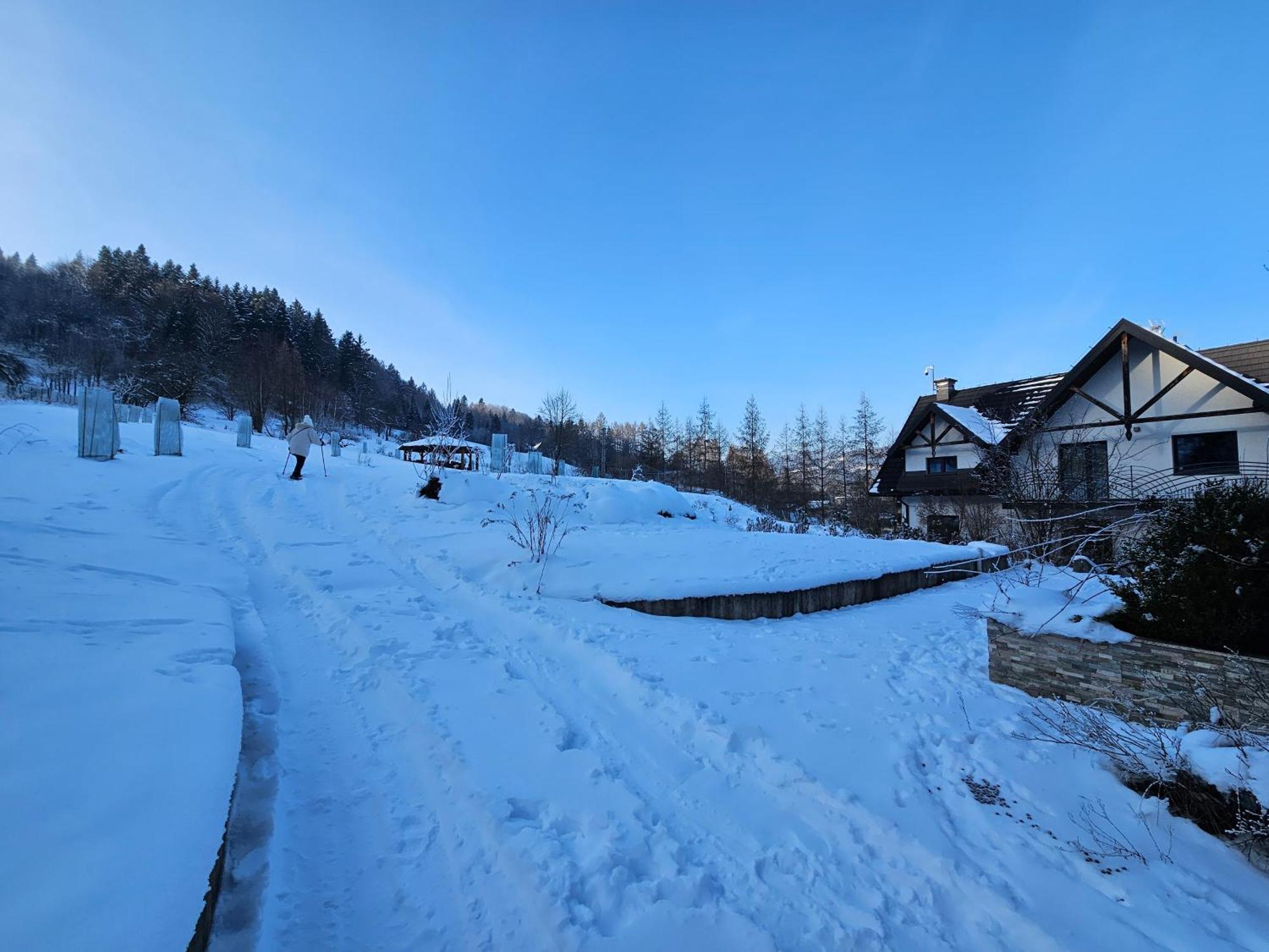 Otulina Park Bed & Breakfast Szczawnica Ngoại thất bức ảnh