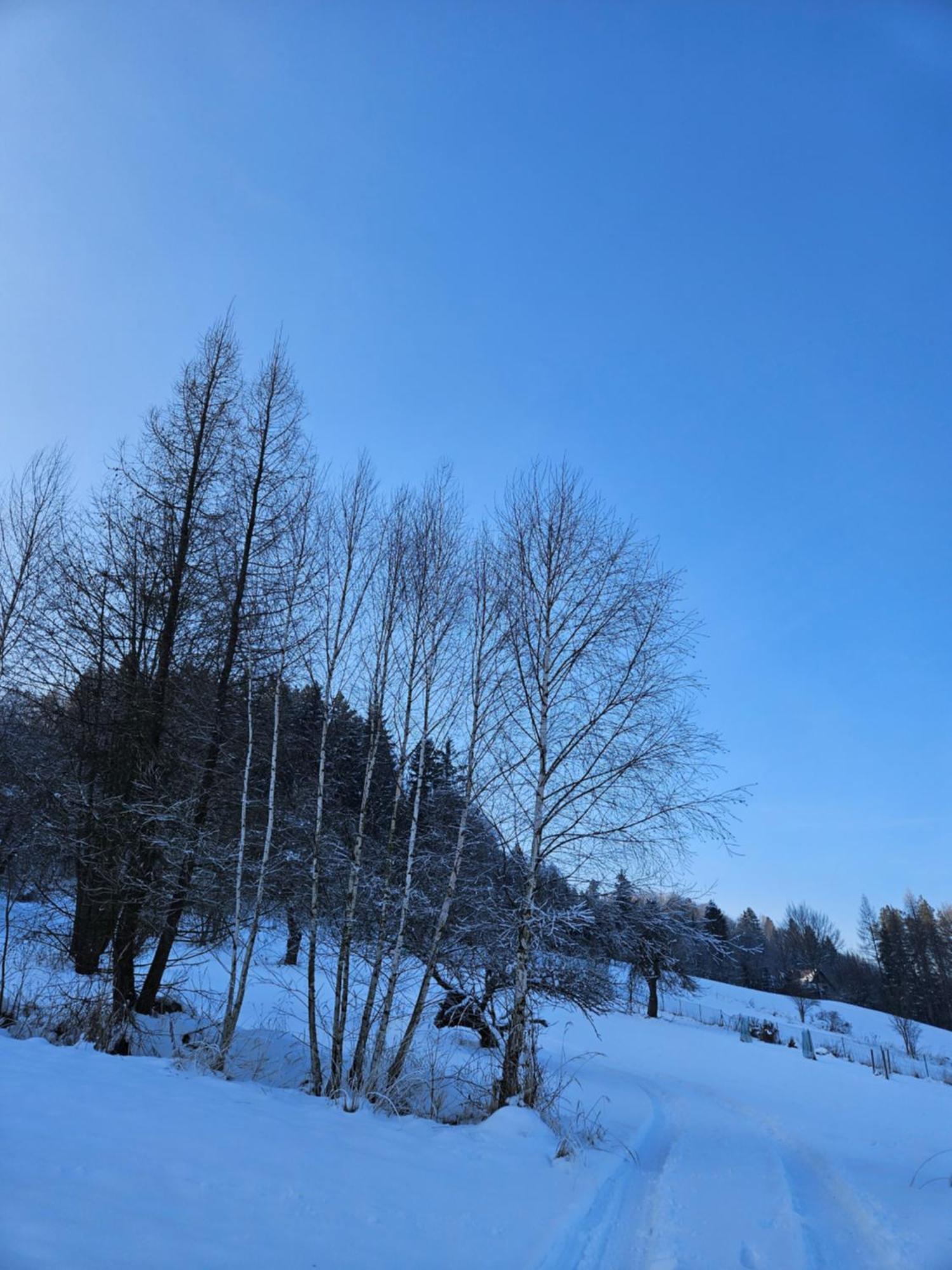 Otulina Park Bed & Breakfast Szczawnica Ngoại thất bức ảnh