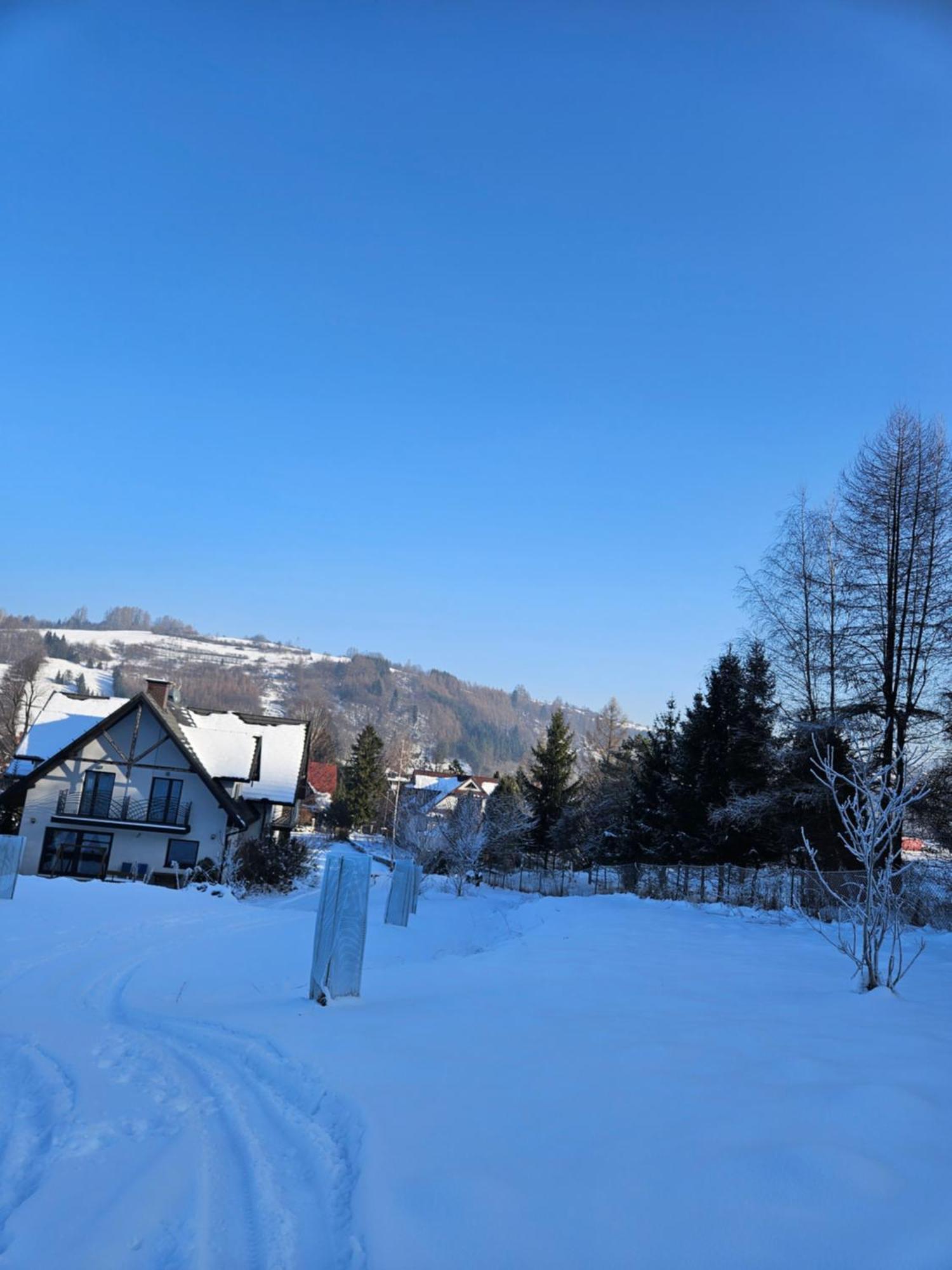 Otulina Park Bed & Breakfast Szczawnica Ngoại thất bức ảnh